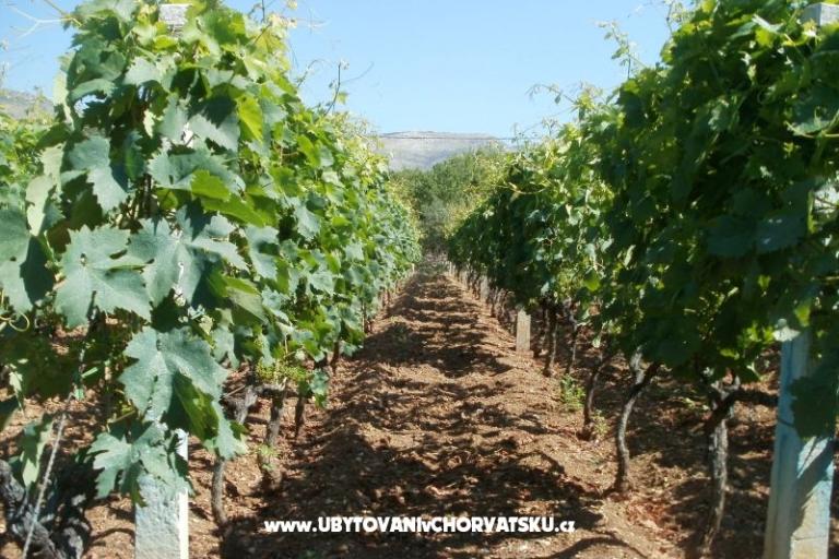 Apartments Grgin – photo 13