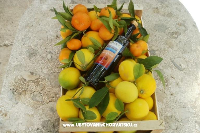 Apartments Grgin – photo 16