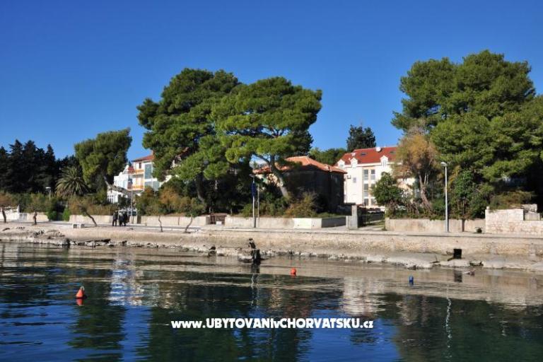 Apartments Ivan – photo 17