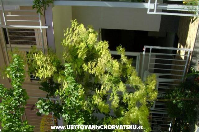 Apartments Botić – photo 8