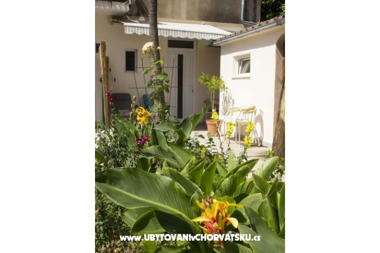 Apartments Bugenvilla – photo 11