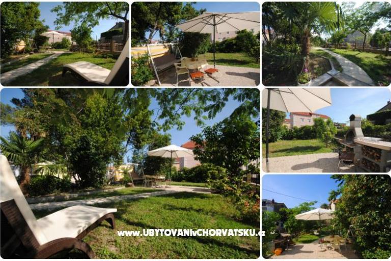 Apartments Bugenvilla – photo 6