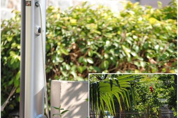 Apartments Bugenvilla – photo 7