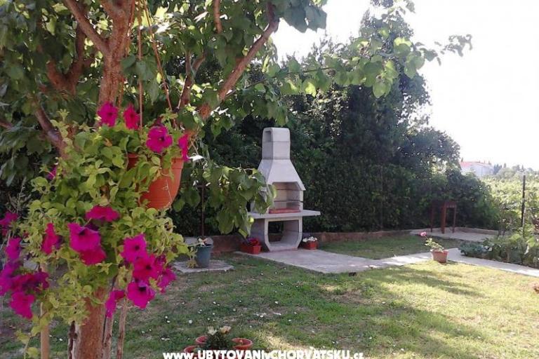 Apartment Castel Vecchio  – photo 8