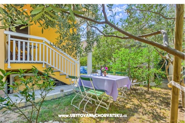 Banovski dvori – photo 3