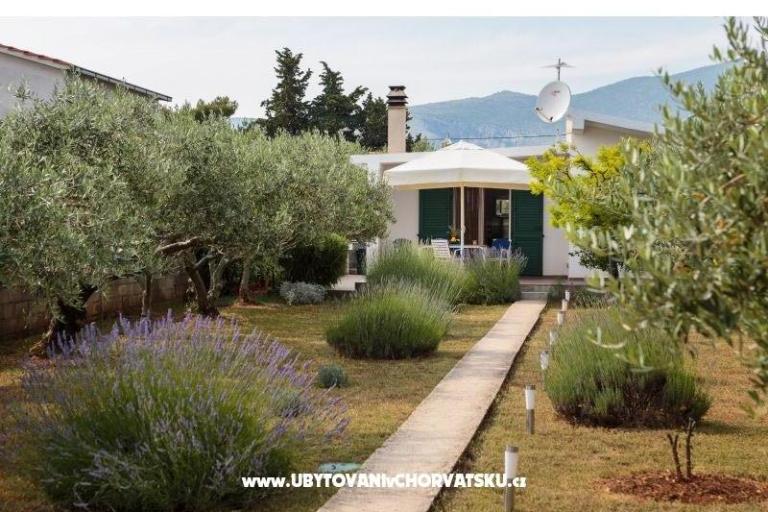 House on the beach – photo 15