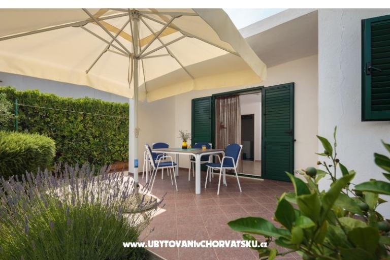 House on the beach – photo 6