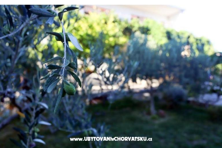 Stone Sun – photo 16