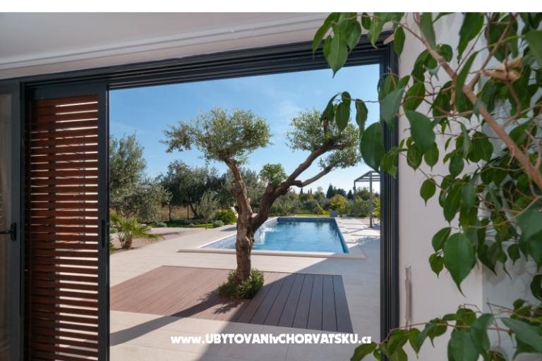 Villa Greta – photo 15