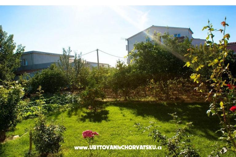 Villa Lucija – photo 10