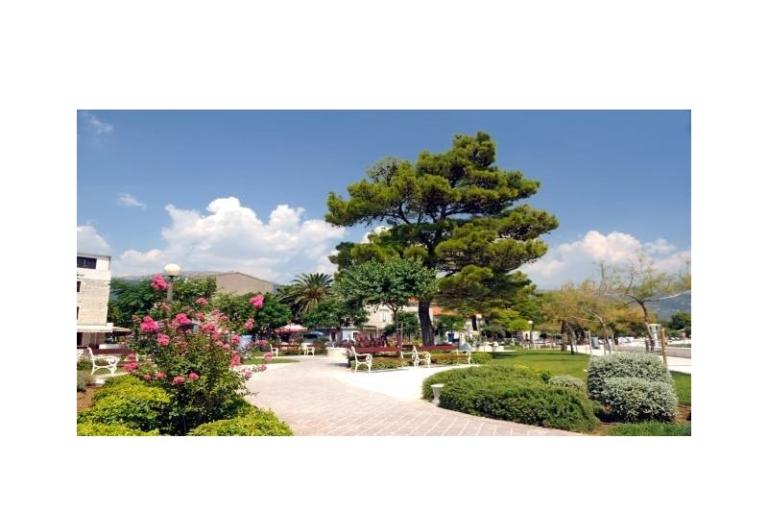 Villa Paradise  – photo 7