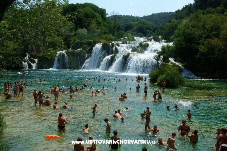 Villa Sandra - apartmani s  bazenom – photo 16