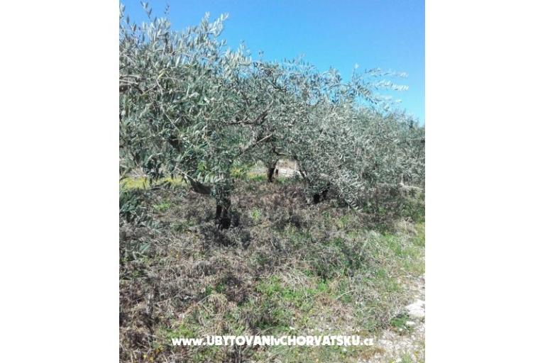 Apartments Alfijo – photo 13