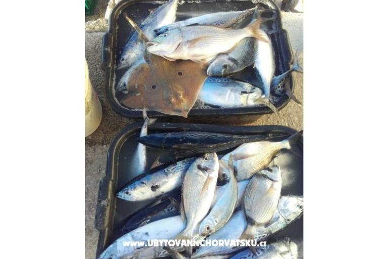 Apartments Alfijo – photo 9