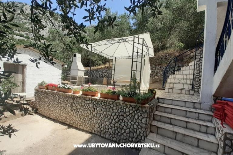 Apartments Luna – photo 5