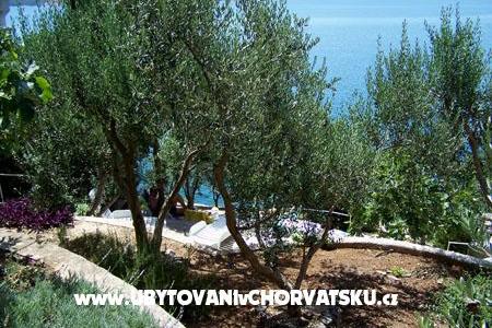 Apartments Mediterraneo – photo 11