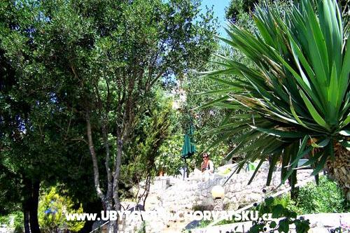 Apartments Mediterraneo – photo 13