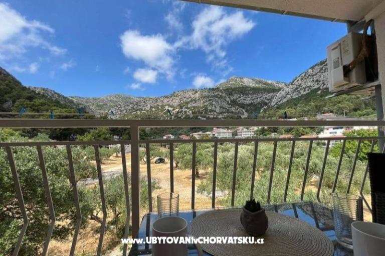 Vila Martina Klek – photo 8