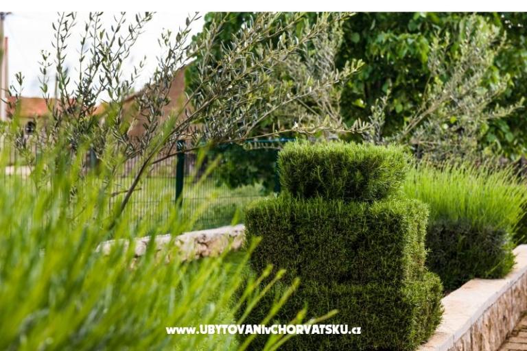 Holiday Home Anica – photo 9