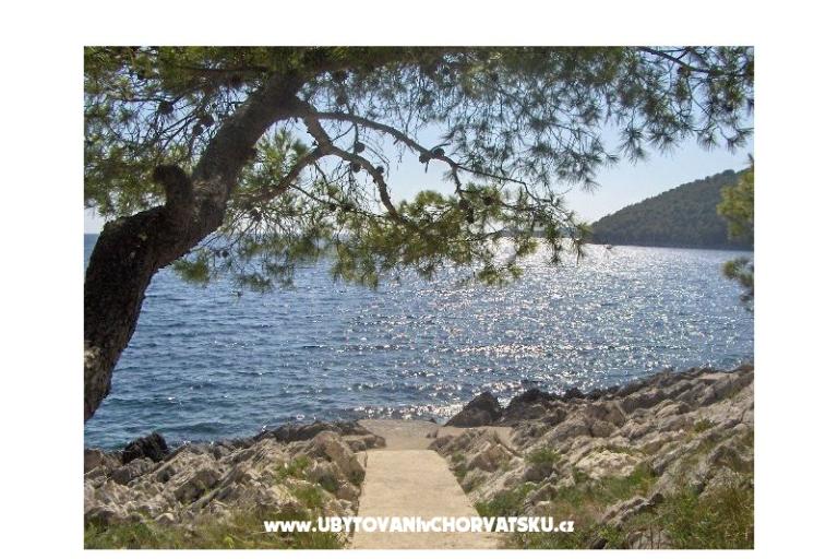 Apartments Ančila – photo 14