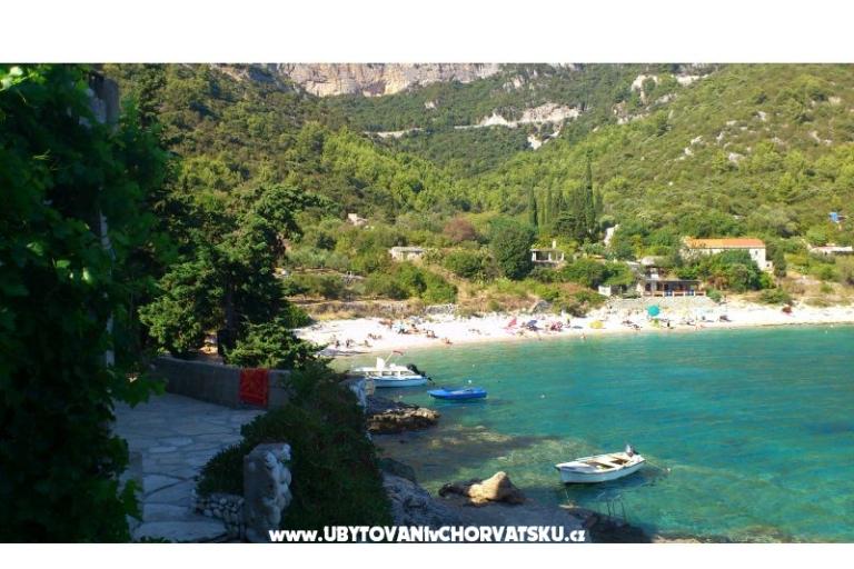 Apartments Šain – photo 10