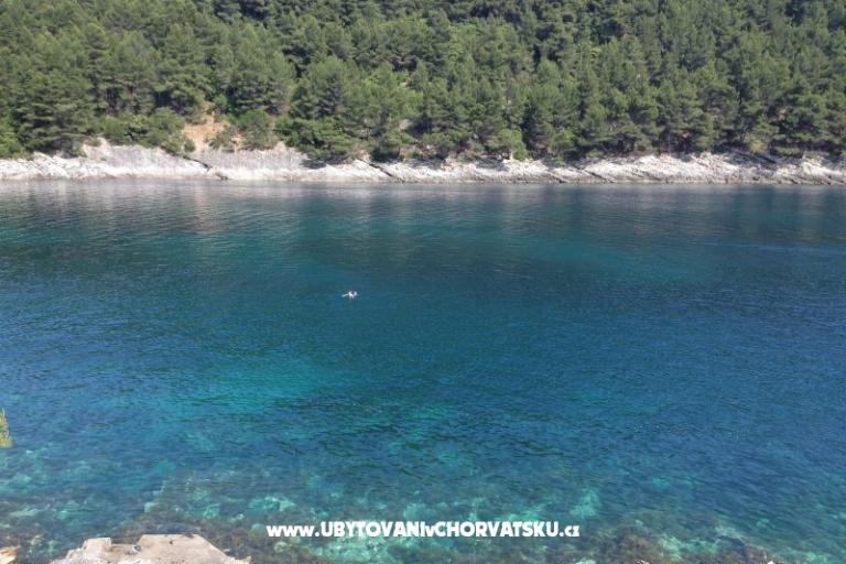 Apartments Šain – photo 12