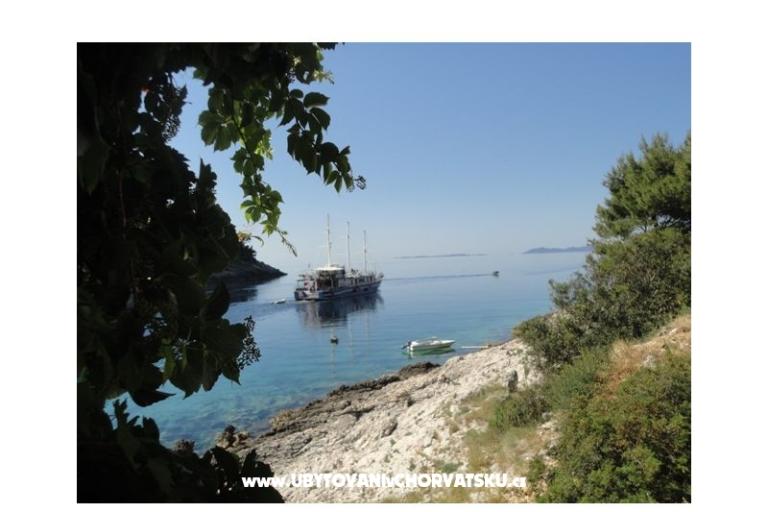 Apartments Šain – photo 13