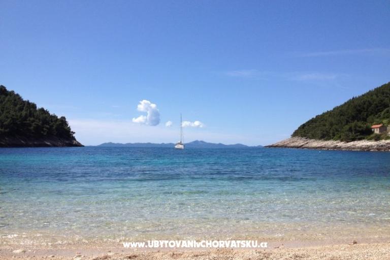 Apartments Šain – photo 14