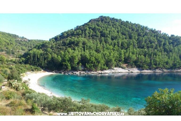 Apartments Šain – photo 15