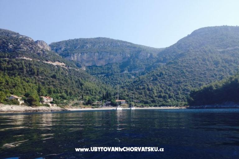 Apartments Šain – photo 16