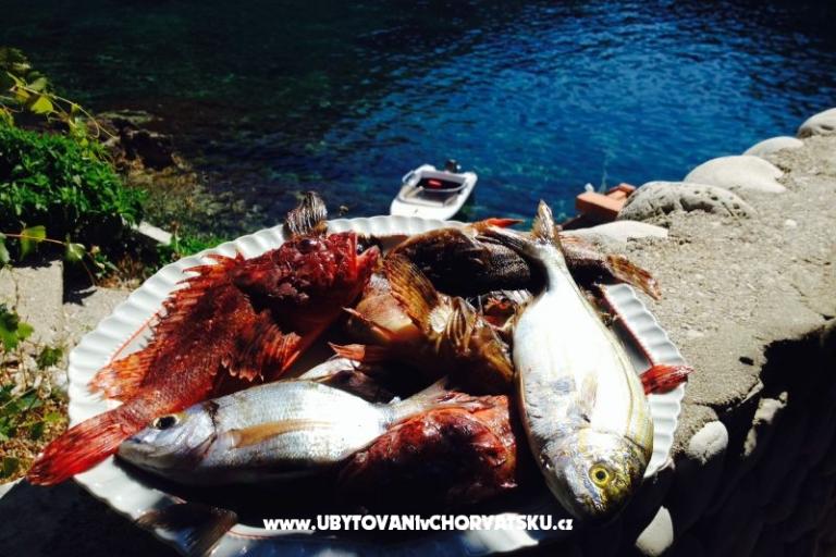 Apartments Šain – photo 17