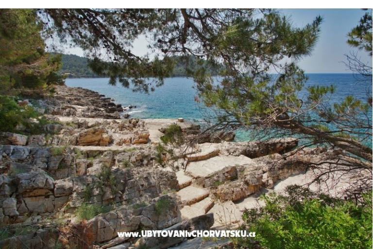 Apartments Marica P. – photo 10