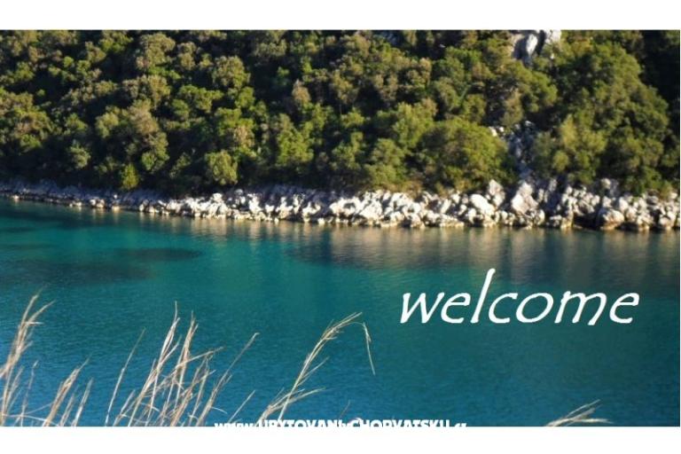 Apartments Marica P. – photo 18