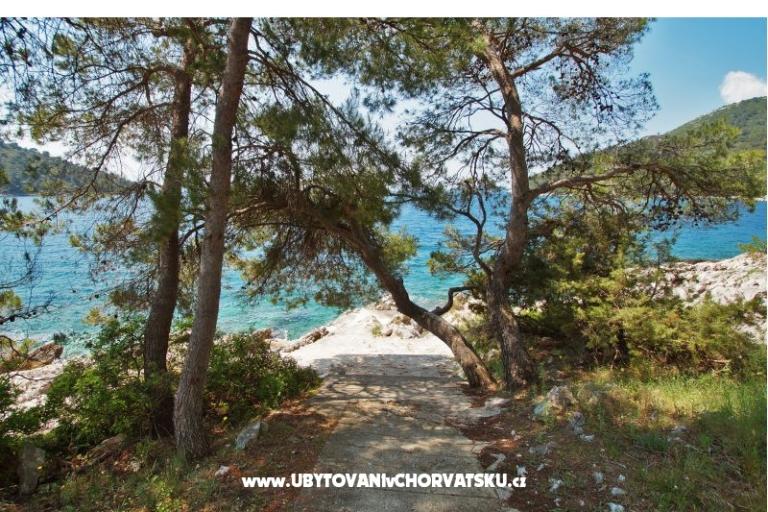 Apartments Marica P. – photo 6