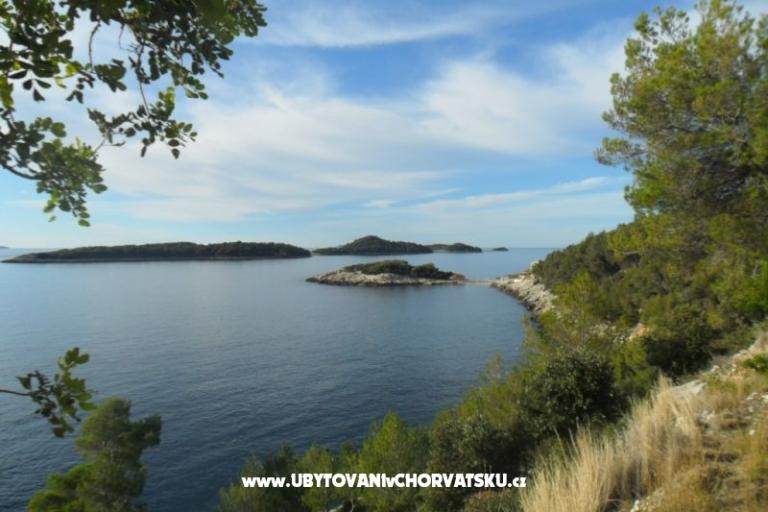 Apartments Marica P. – photo 8