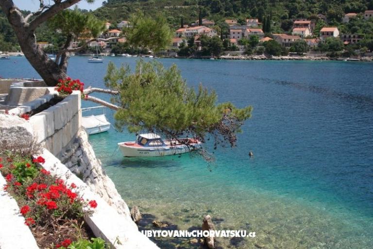 Apartments Marica P. – photo 9