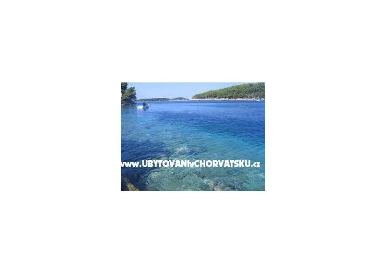 Apartments Dea,Lara,Tin – photo 6