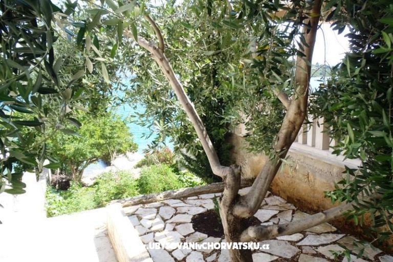 Apartments Petar – photo 9