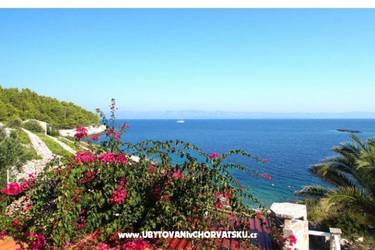 Vacation house Dorjan – photo 5
