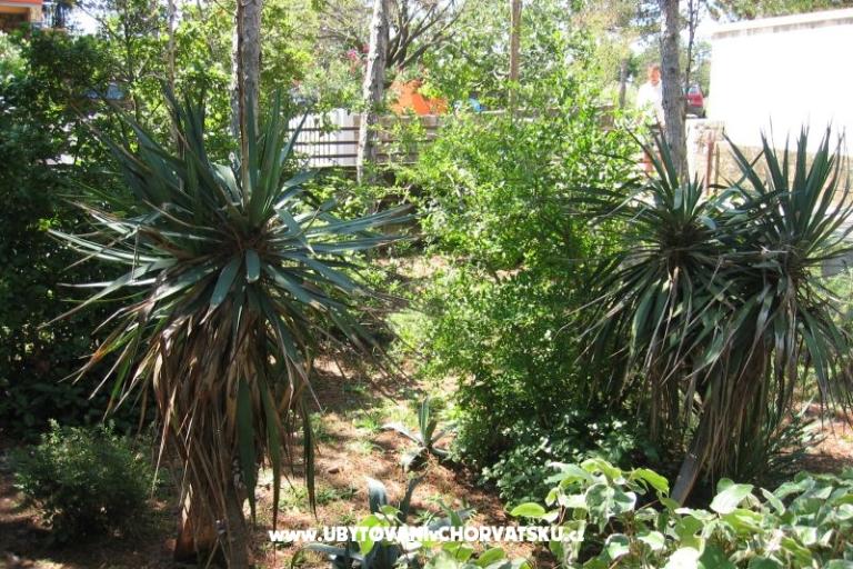 Apartment Borici – photo 17