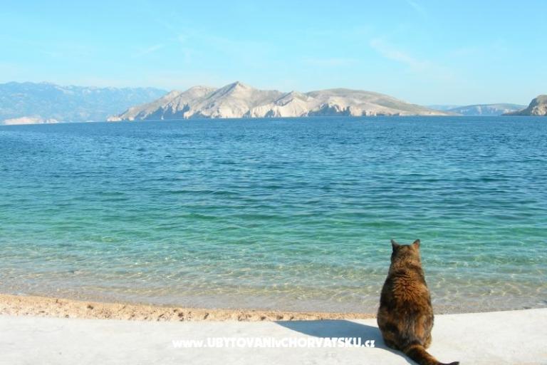 Apartment Linda – photo 18