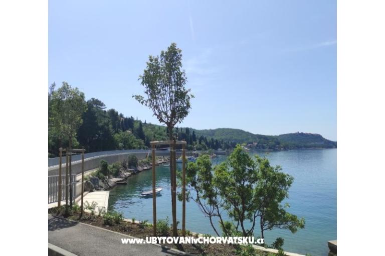 Apartments LUNA  – photo 28