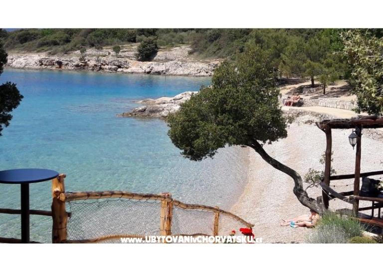 Cedrus apartment, modern / comfy – photo 14