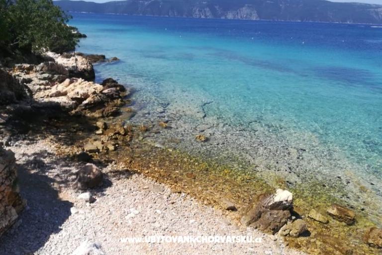 Cedrus apartment, modern / comfy – photo 16