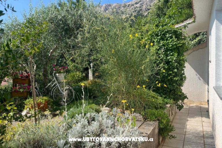 Apartment Roko – photo 15