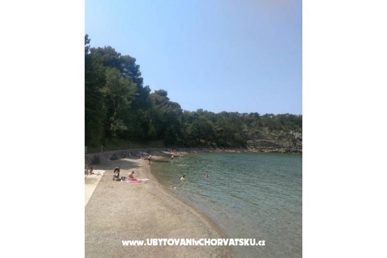 Apartment Tara – photo 12