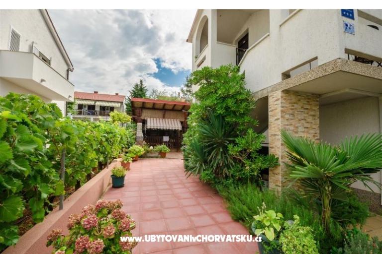 Apartments Bačani-Punat  – photo 2