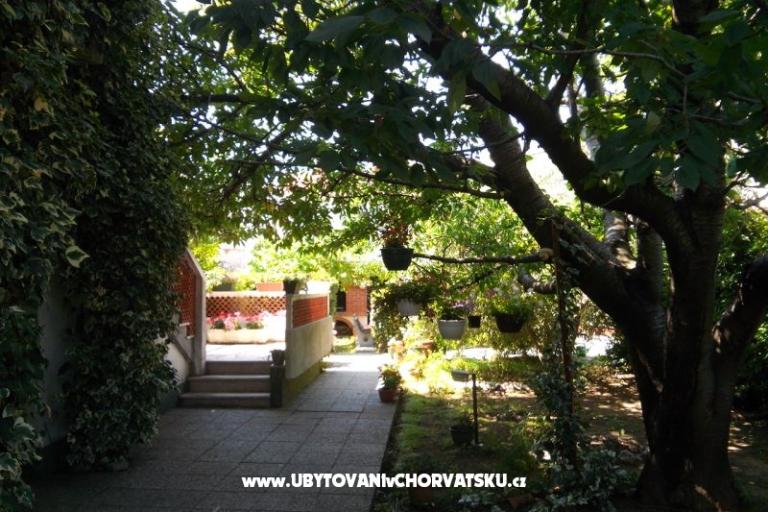 Apartments Branko – photo 18