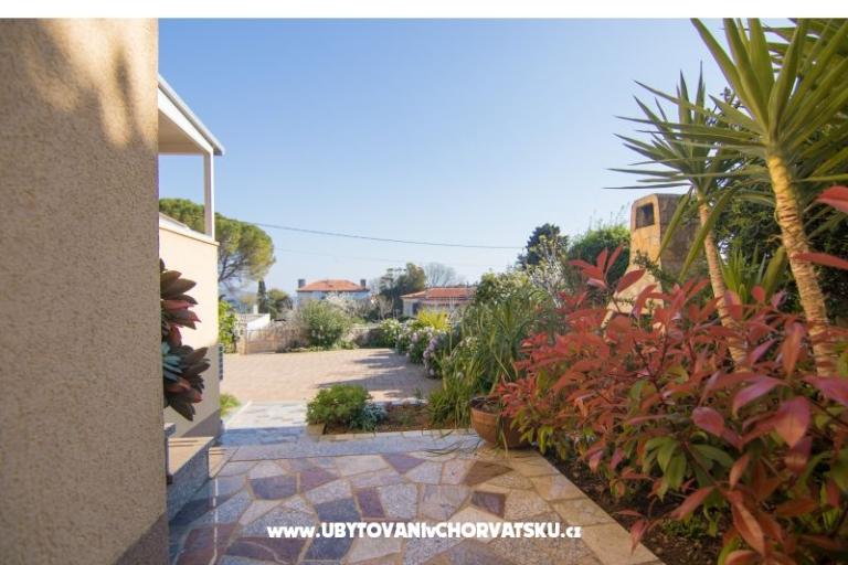 Apartments City Center Dekanic – photo 7