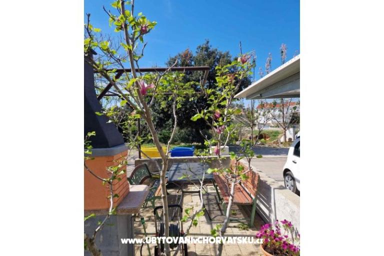 Apartments Fanuko – photo 18
